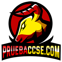 PruebaCCSE.com